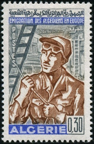 Osprey (Pandion haliaetus)