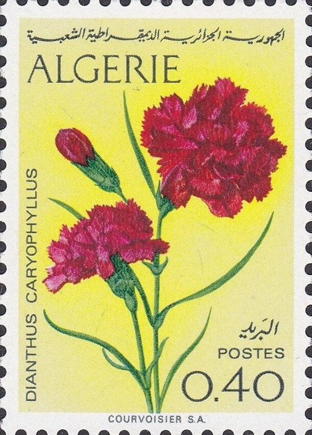 Sword and Sceptre of State Presented to William