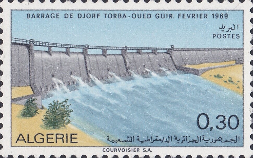 Convolvulus Hawkmoth (Agrius convolvuli)