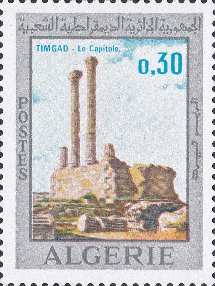 Bay of Algiers, 5 trees