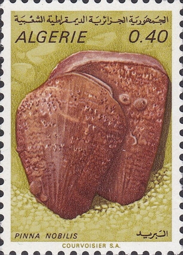 Royal Engineers 1890