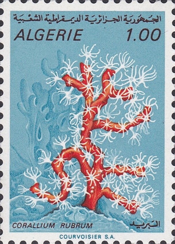 Socialist agricultural village