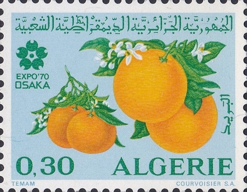 Transport, "SS Courier" 1930's