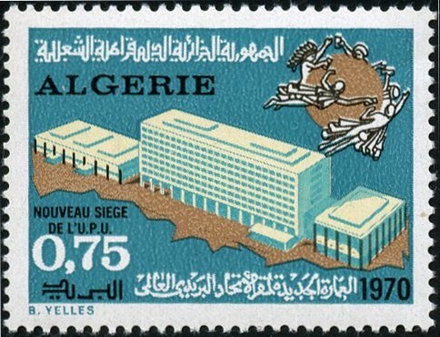 Dunlin (Calidris alpina)