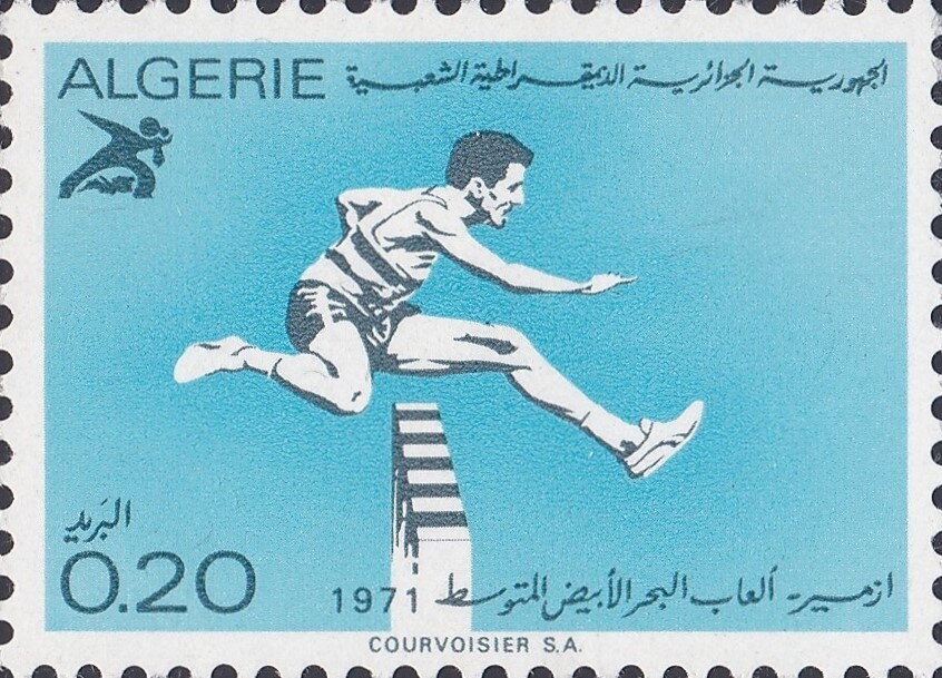 Long-eared Owl (Asio otus)