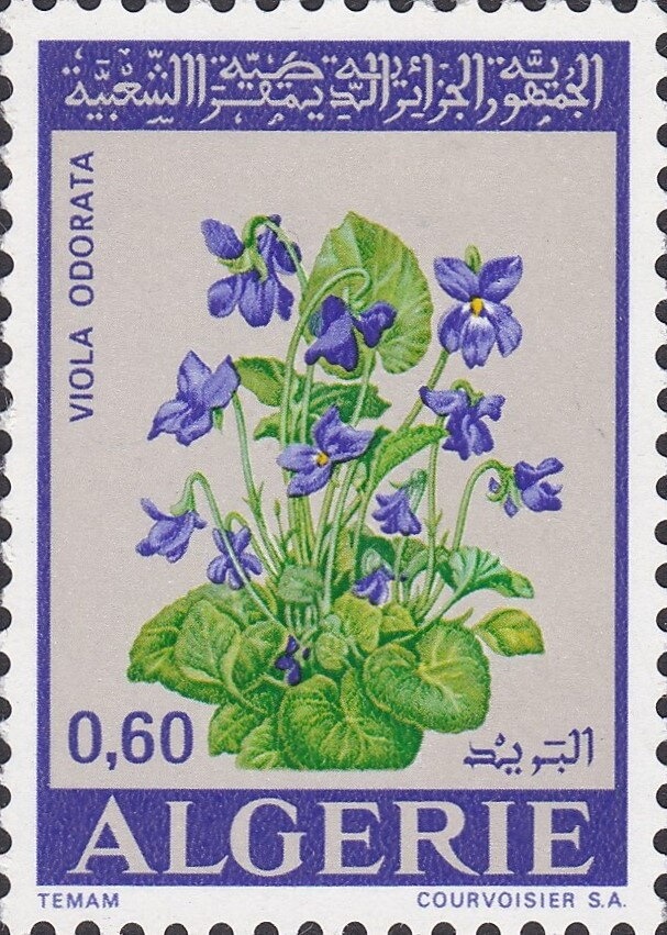 Queen Elizabeth II and Prince Philip arriving at St. Paul’s