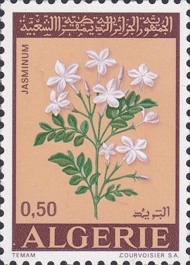 Members of Different Nations