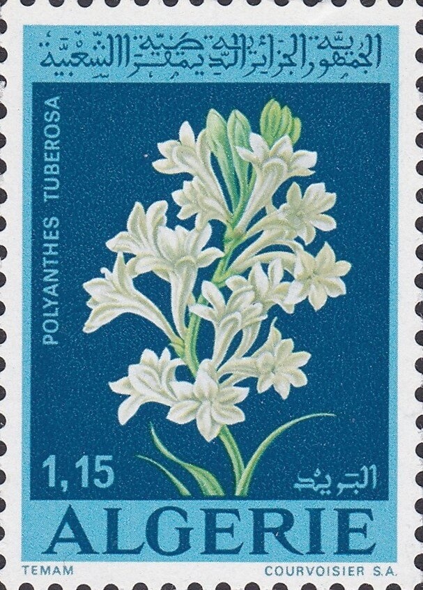 Members of Different Nations