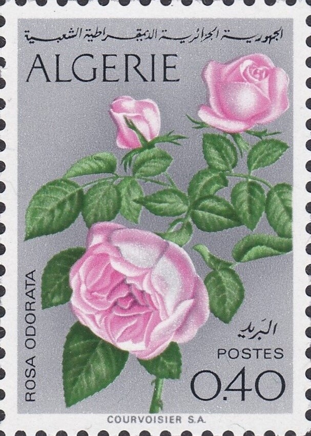 King and Queen in State Coach