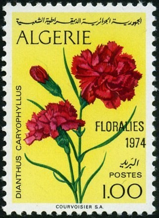 Hydrofoil (red overprint)