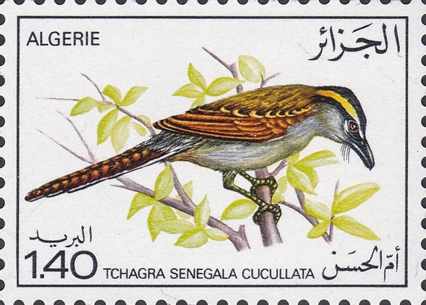 Environmental Protection