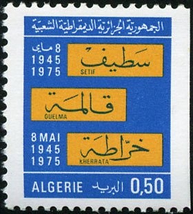 Chocolate-band Snail (Eobania vermiculata)