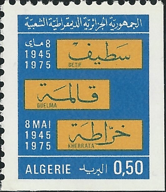 Dwarf Thistle (Cirsium acaule)