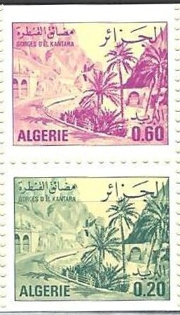 Neptune Grass (Posidonia oceanica)