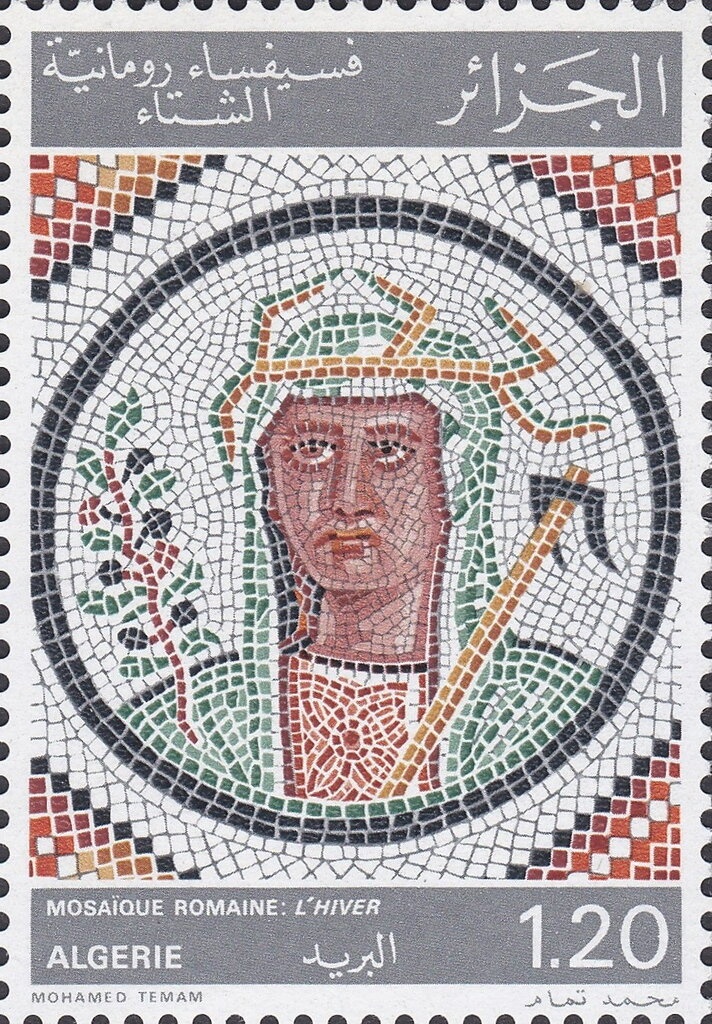 Parasol Mushroom (Macrolepiota procera)