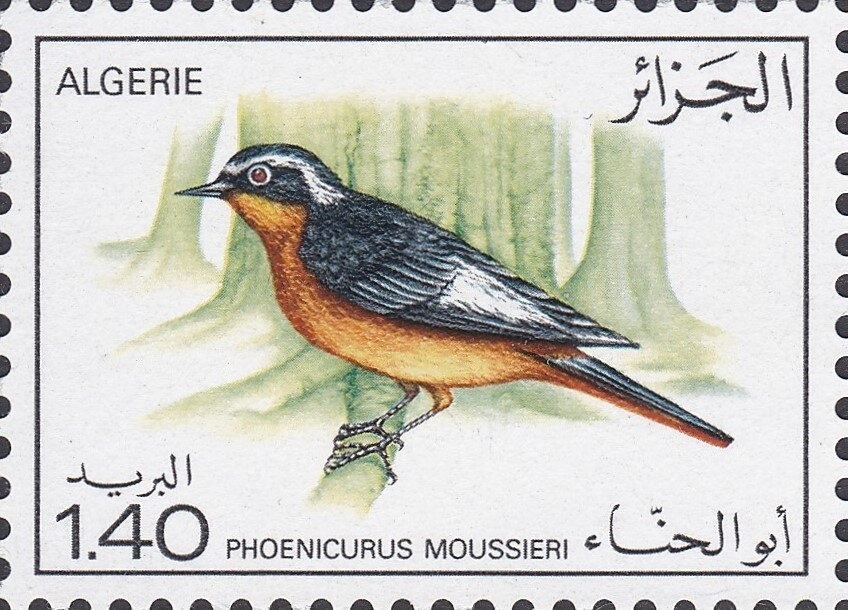 Type Pasteur - overprinted "ALGERIE"