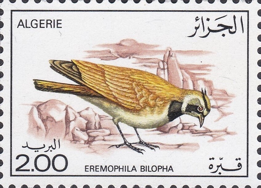 Massacres of Sétif, Guelma and Kherrata