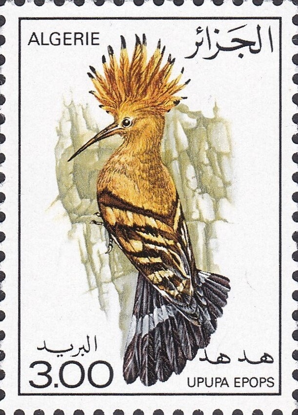 Soccer ball, sombrero