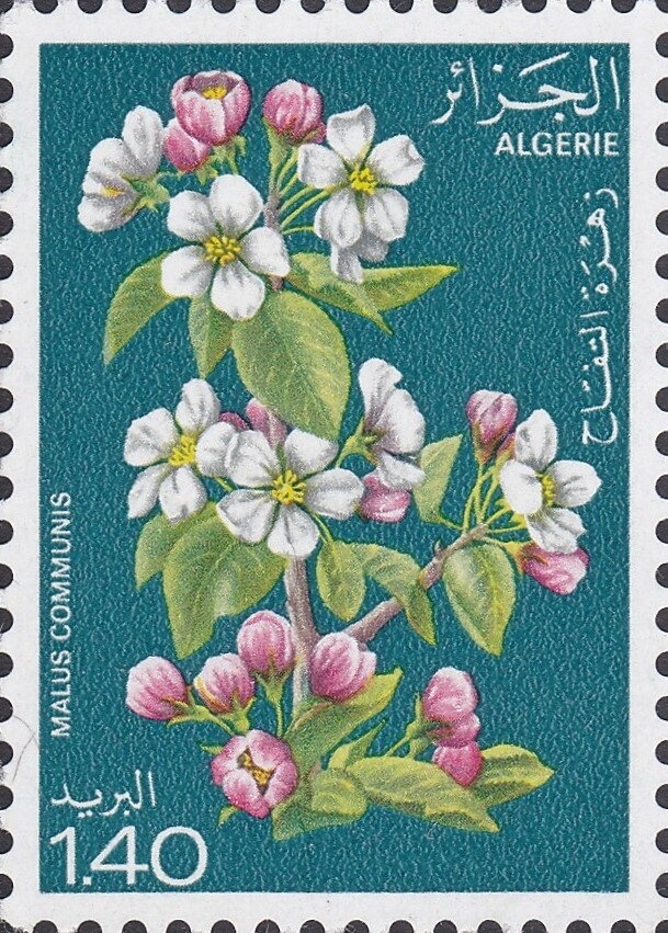 Le civisme fiscal, un acte citoyen