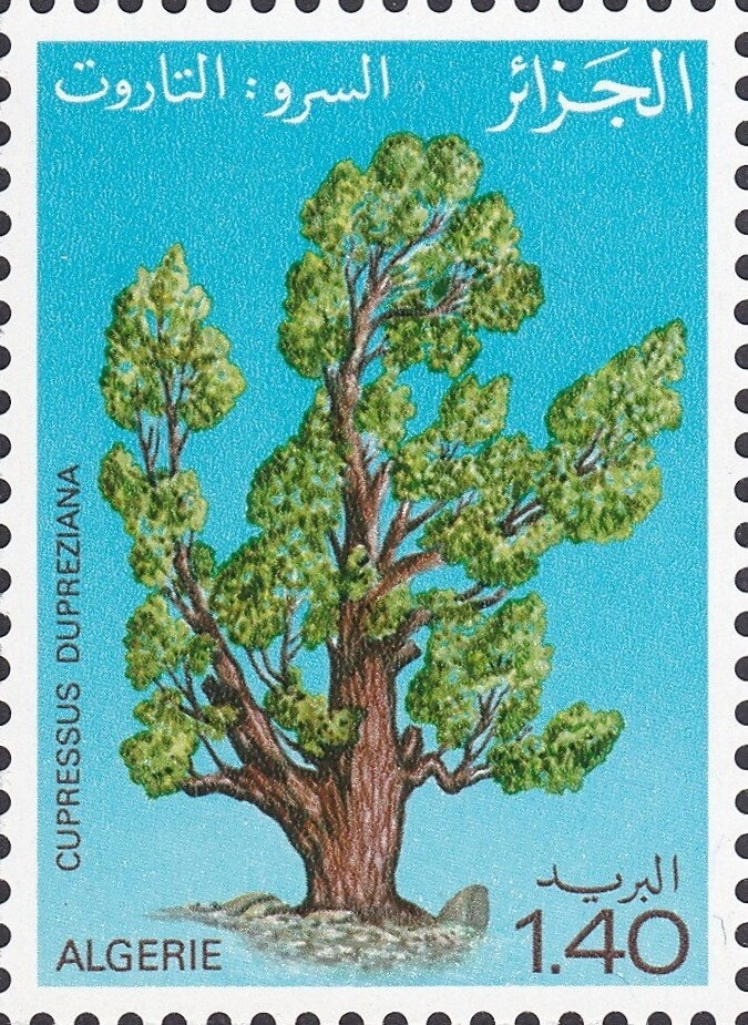 50th anniversary of Student's Day