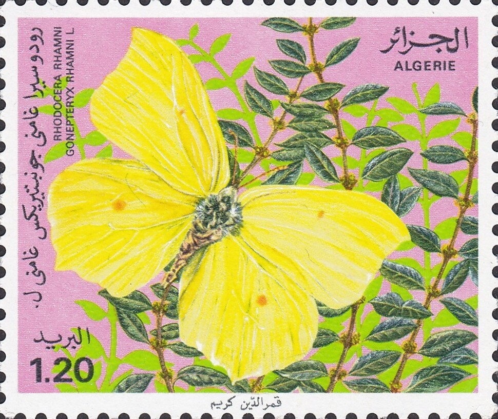 Door of the Ketchaoua Mosque, Algiers – 17th century