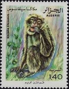 Type Blanc - overprinted "ALGERIE" and surcharge