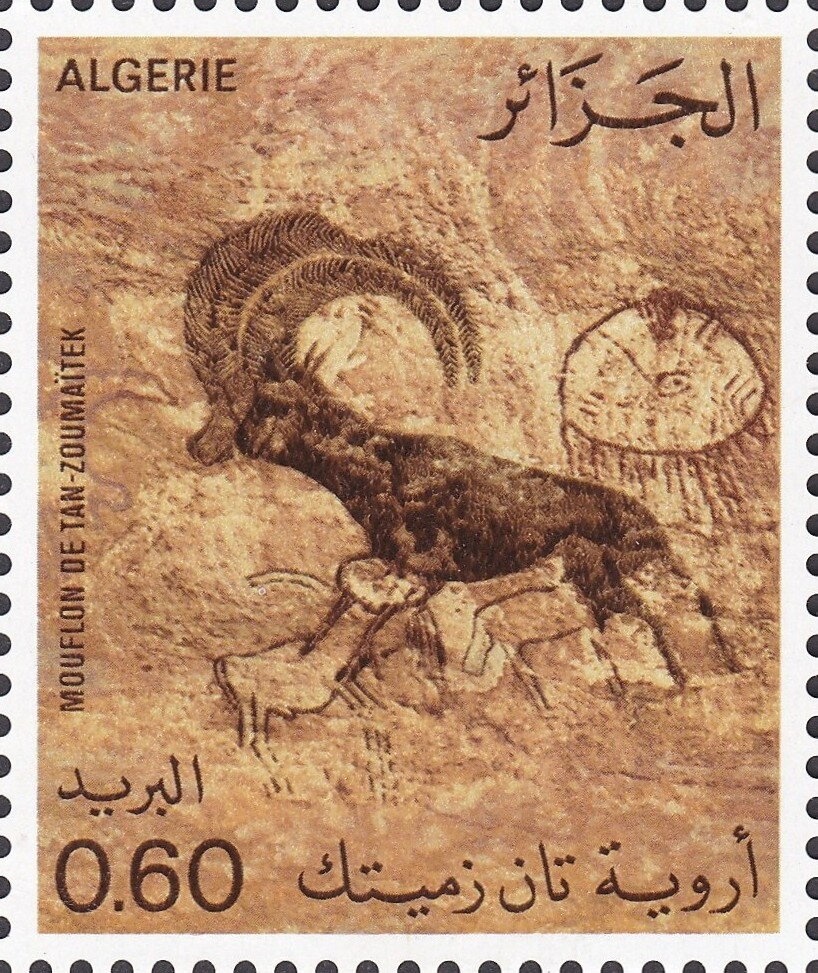 Barbary Macaque (Macaca sylvanus)