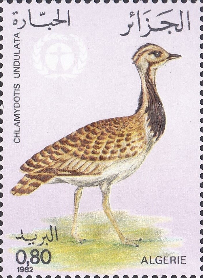 Mosque of Sidi Abder Rahman