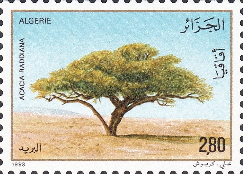 Bagpuss with Madeleine and the mice