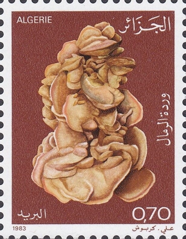 International Day of Female Entrepreneurs