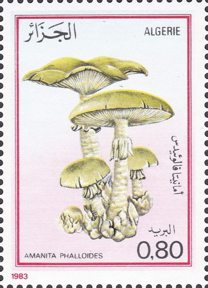 Tartus, overprinted in red