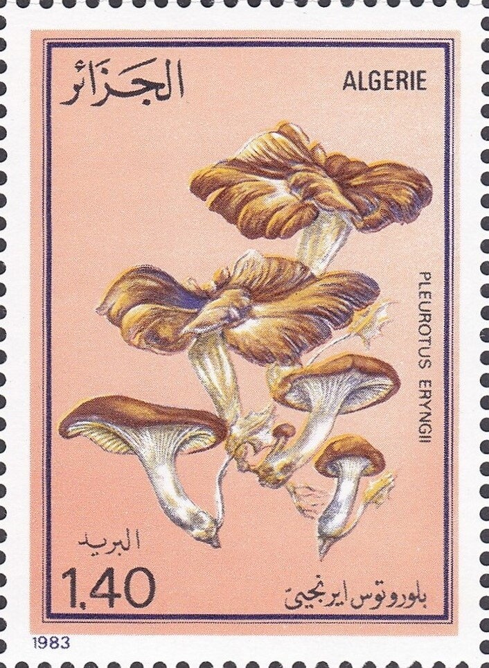 Harold Hard Pressed in Shield Wall