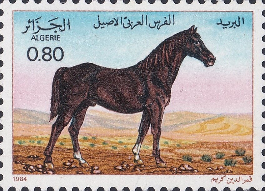 Timcherreft (Temple Dress)