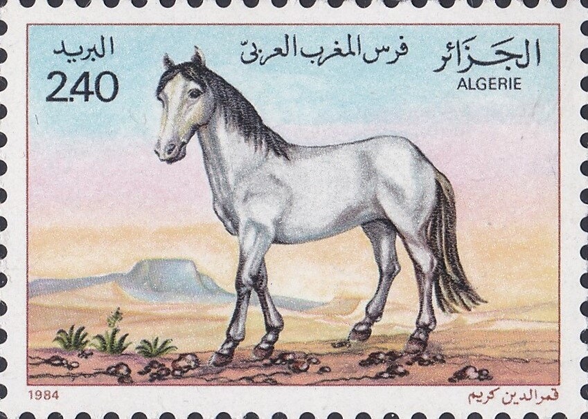 Public Destruction of Stockpiles of Antipersonnel Mines