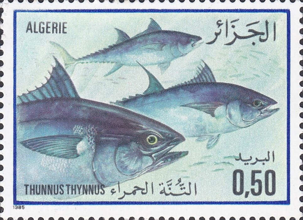 Bicentenary of the Battle of Trafalgar