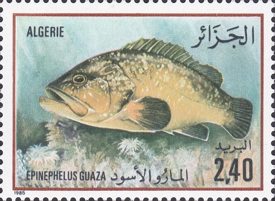 Coat of Arms of Oran