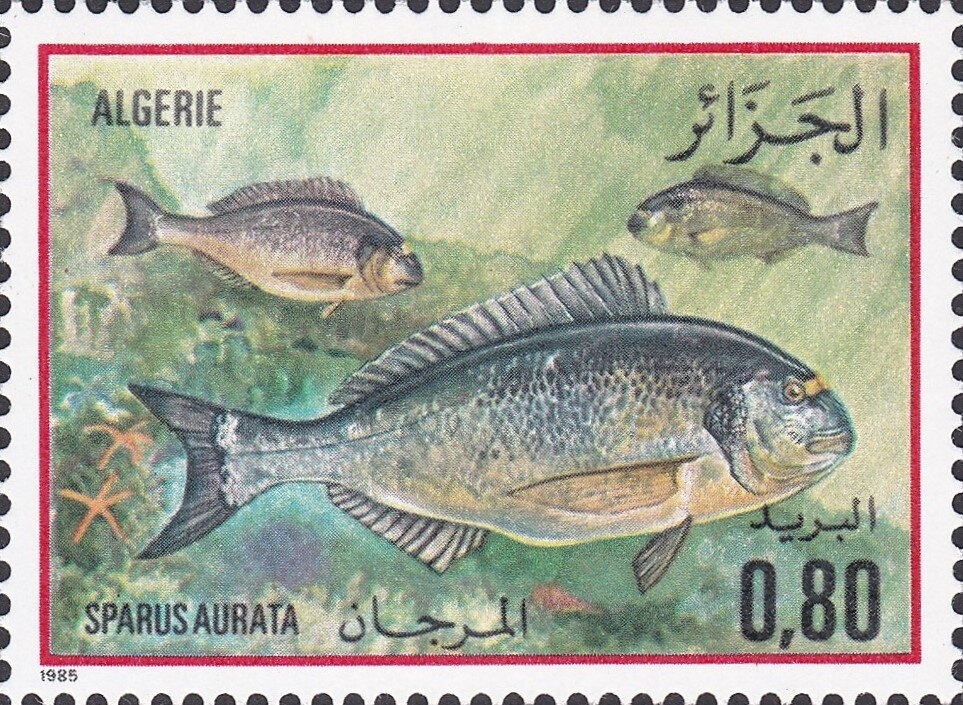 Wonderful caves Ziama Mansouriah - Jijel