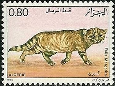 50th anniversary of the Soummam Congress