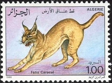 Dangers of the Internet