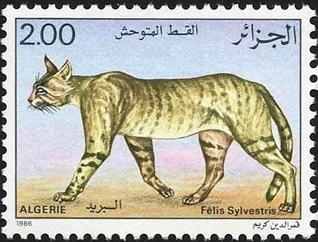 Lighthouse island of Arzew (Oran)