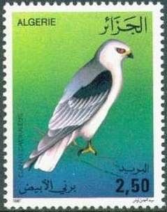 45th anniversary of the National Police Force