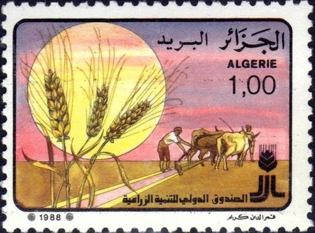 The Royal Alderney Artillery Militia on parade