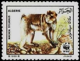 Postbox, Route de Brave