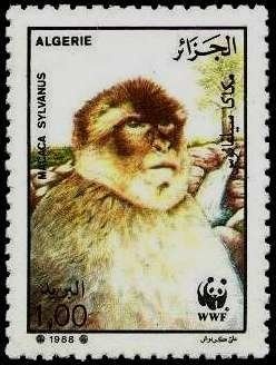 Quote of William Wordsworth (1770-1850)