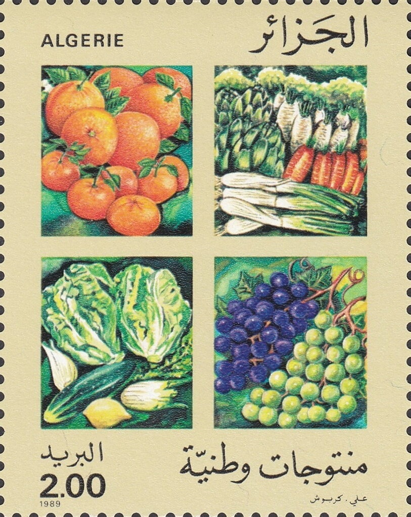 Sand Crocus (Romulea columnae)