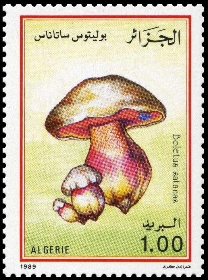 Type Blanc - overprinted "ALGERIE"