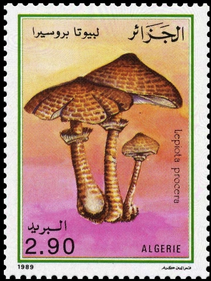 Victoria Street and Silver Jubilee