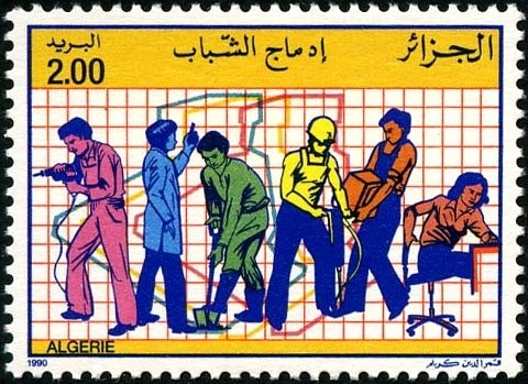 Flathead Grey Mullet (Mugil cephalus)