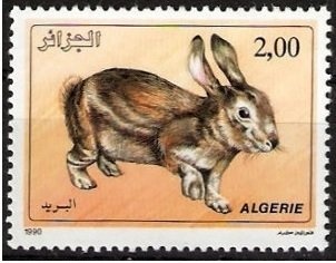 Bridge of St. Antoni