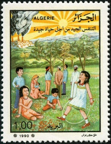 Orange Branch and Blossom